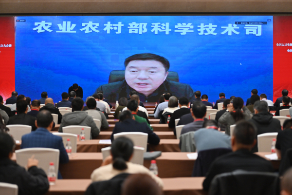 点击《DSC_2770》查看详情