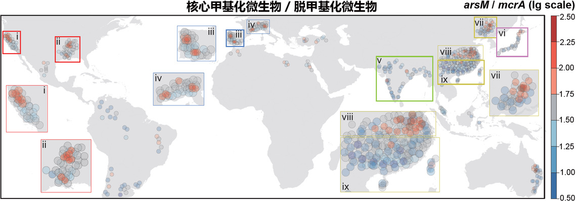 图2. 11种关键砷甲基化与6种脱甲基功能微生物丰度比值可预测全球稻田直穗病发病风险。