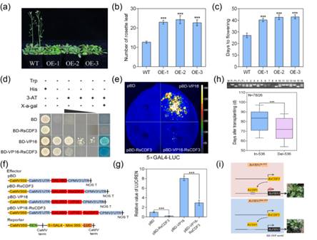 说明:E:\00, PBJ, Resubmit, 2022.9\01, resubmit, 2022.11\New Figs, 2023.1\Figure 7.tif
