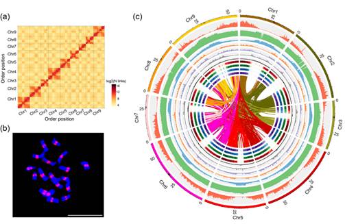 说明:E:\00, PBJ, Resubmit, 2022.9\01, resubmit, 2022.11\New Figs, 2023.1\Figure 1.tif