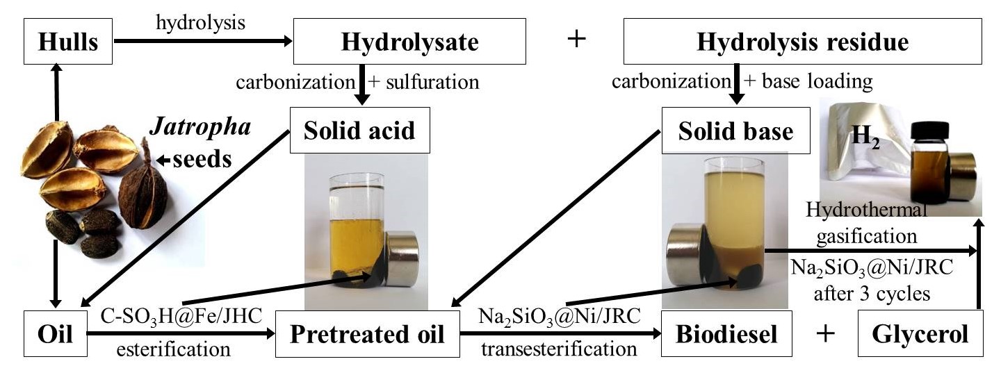 Graphical abstract ECM-ZF5